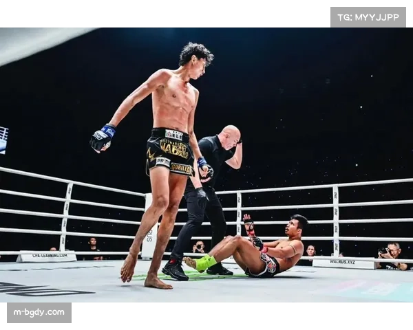 阿纳尼备战和岛大海,全力打磨踢拳技巧展现硬实力