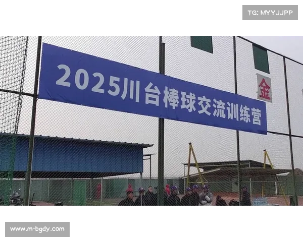 邻里一家亲 社区垒球活动成为居民互动新平台